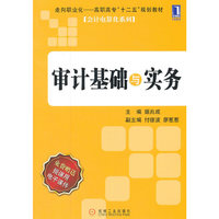审计基础与实务 会计电算化系列