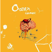 新锐电音音乐人iimmune/邢江波 ：Ocean（CD）
