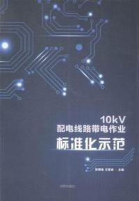 10kV配电线路带电作业标准化示范
