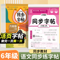 小学语文同步字帖六年级上册每日一练人教版练字帖小学生上学期练字专用正版生字字贴临摹带笔顺笔画正楷书
