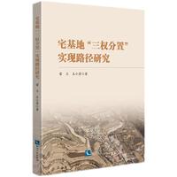 宅基地“三权分置”实现路径研究