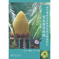 四川攀枝花苏铁国家级自然保护区常见维管植物