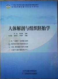 人体解剖与组织胚胎学