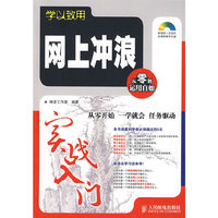 学以致用——网上冲浪实战入门