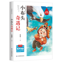 小布头奇遇记