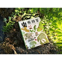 虫痕图鉴