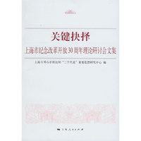 关键抉择—— 上海市纪念改革开放30周年理论研讨会文集