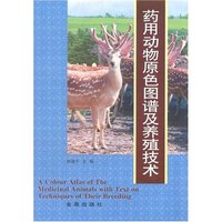药用动物原色图谱及养殖技术(精)