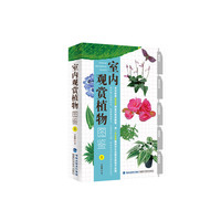 室内观赏植物图鉴-1