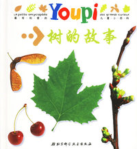 YOUPI小百科·树的故事