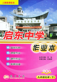 启东中学作业本：九年级化学（下）（人教版课标本）