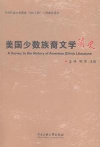 美国少数族裔文学简史