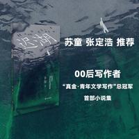 迟湖（艺文志·小说）（苏童，张定浩推荐，00后写作者、“真金·青年文学写作”总冠军小说集）