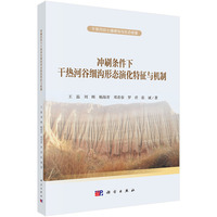 冲刷条件下干热河谷细沟形态演化特征与机制9787030846624王磊科学出版社