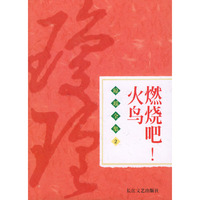 琼瑶全集2-燃烧吧!火鸟