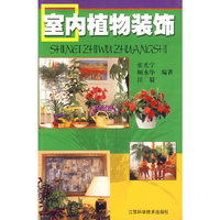 室内植物装饰