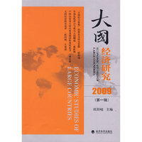 大国经济研究(2009)（第一辑）