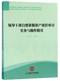 行政事业单位内部审计实务指南
