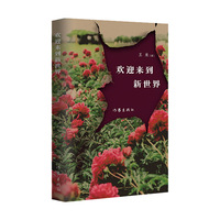 欢迎来到新世界（虚拟现实魔力的小说）