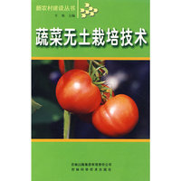 蔬菜无土栽培技术