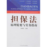 担保法原理精要与实务指南(民商法原理精要与实务指南丛书)