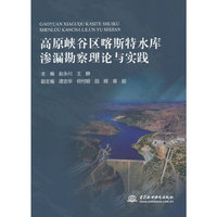 高原峡谷区喀斯特水库渗漏勘察理论与实践