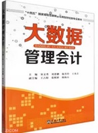 大数据管理会计