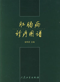 肛肠病诊疗图谱