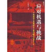 应对机遇与挑战—中国城镇化战略研究主要问题与对策(第二版)