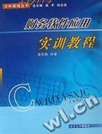 财务软件应用实训教程