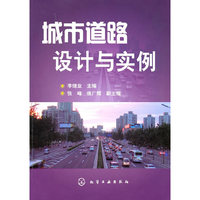 城市道路设计与实例
