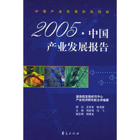 2005年中国产业发展报告