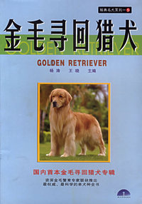 金毛寻回猎犬——经典名犬系列5