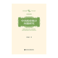 中国政府统计问题研究