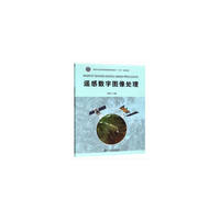 遥感数字图像处理