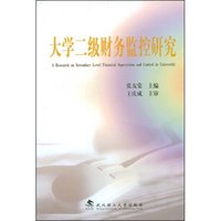 大学二级财务监控研究