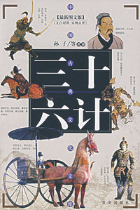 三十六计(光盘)