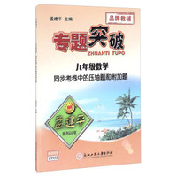 专题突破：数学 同步考卷中的压轴题和附加题（九年级）
