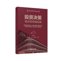 投资决策综合性咨询实践