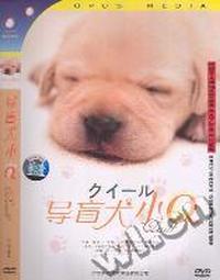导盲犬小Q(DVD)