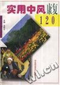 实用中风康复120