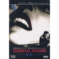 终站(DVD)