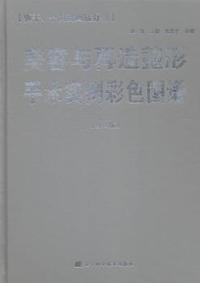 美容与再造整形手术实例彩色图谱:躯干、会阴及四肢分册