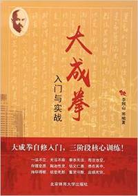 大成拳入门与实战