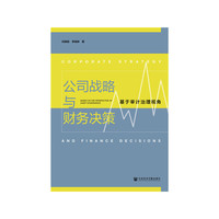 公司战略与财务决策：基于审计治理视角