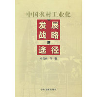 中国农村工业化发展战略与途径