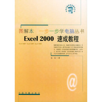 Excel2000速成教程——图解本一步一步学电脑丛书