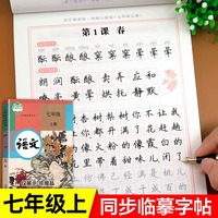 七年级上册语文字帖人教版同步练字帖 初一专用正楷字帖每日一练写字练习同步部编课本教材楷书正楷描红临摹字帖初中生7上衡水体zj