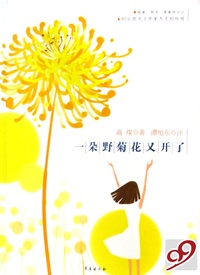 一朵野菊花又开了