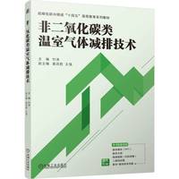 非二氧化碳类温室气体减排技术   竹涛